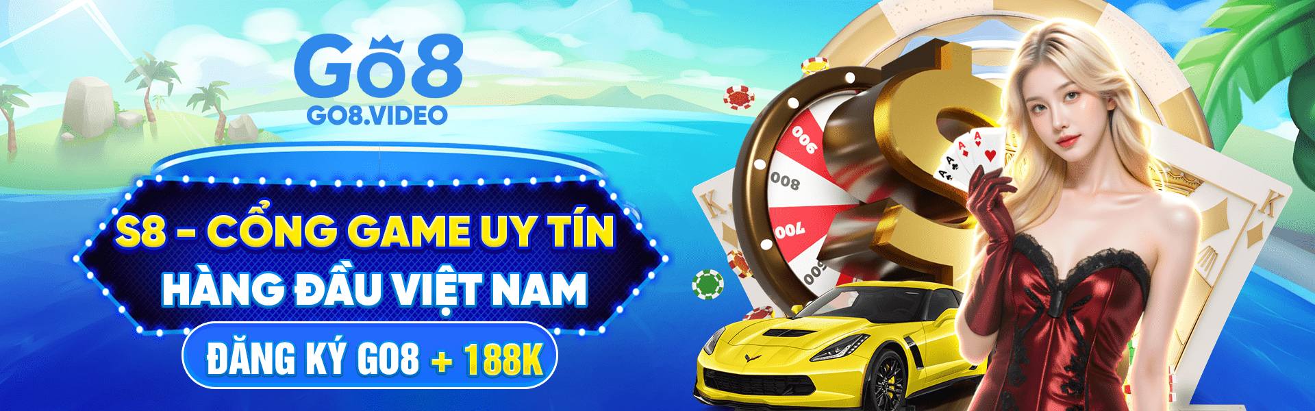 Banner Go8